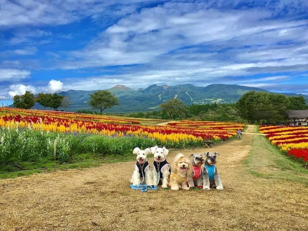 リゾート地