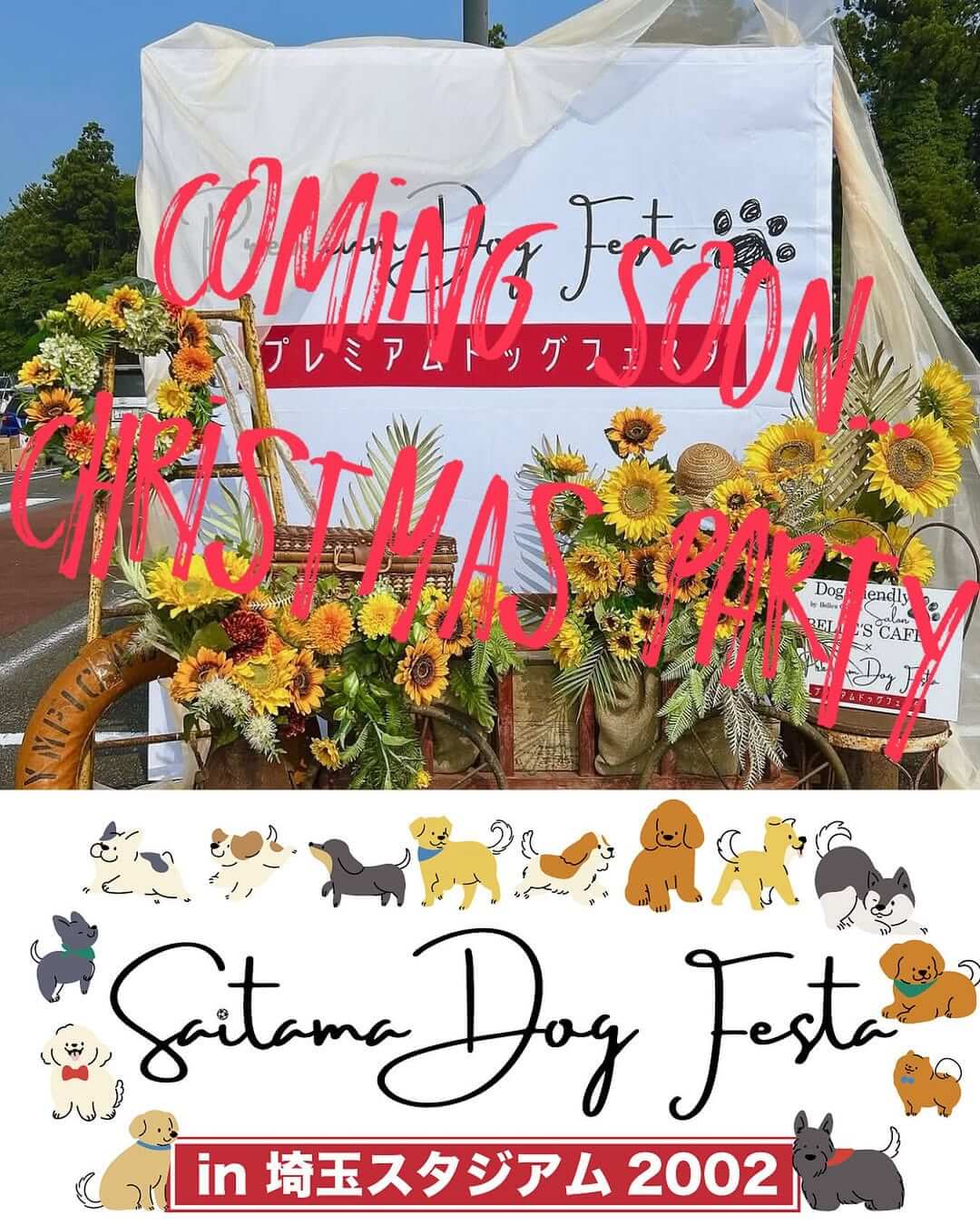 SaitamaDogFesta