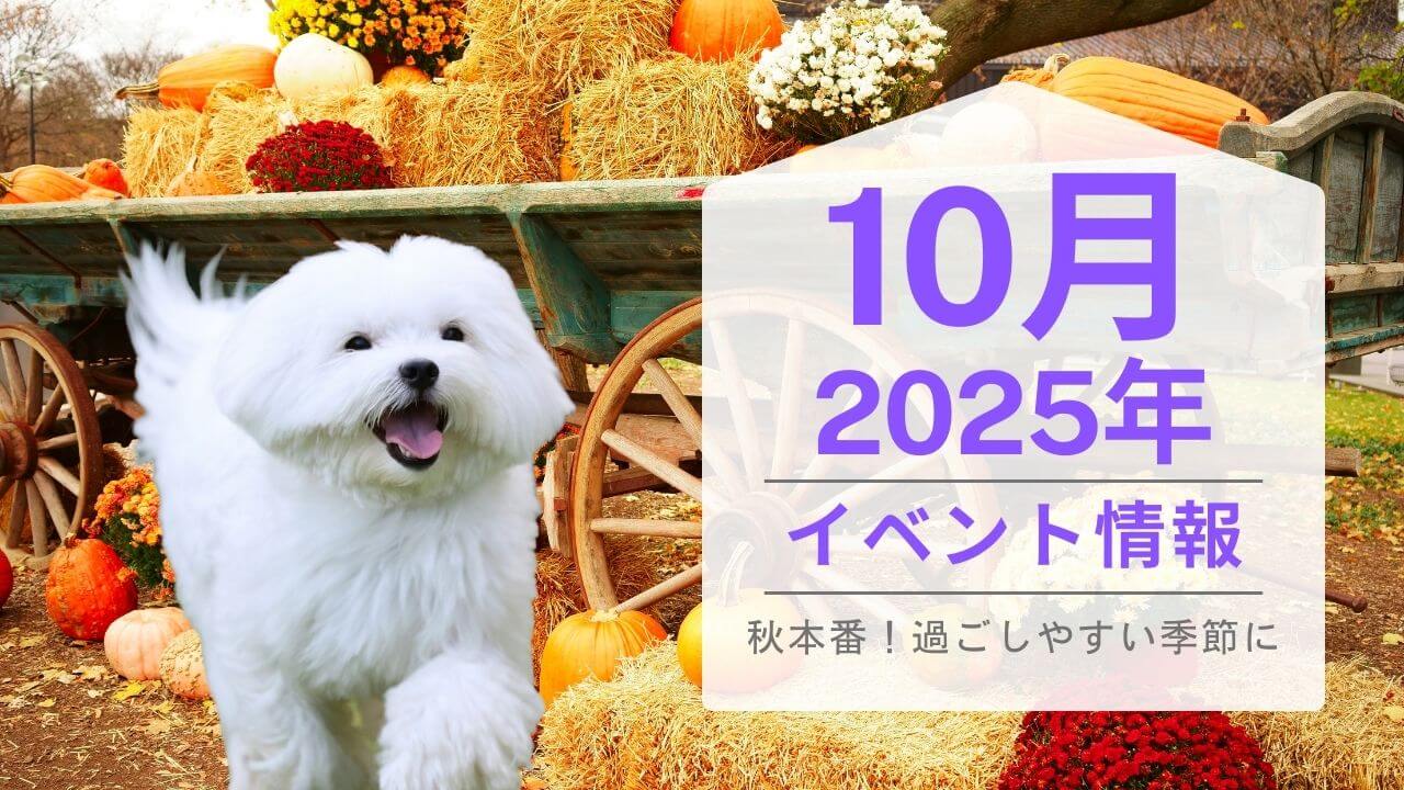 10月に開催される犬のイベント・マルシェ情報まとめ