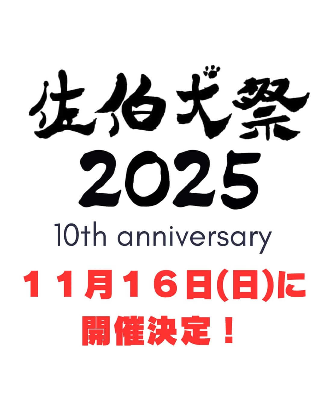 佐伯犬祭２０２５