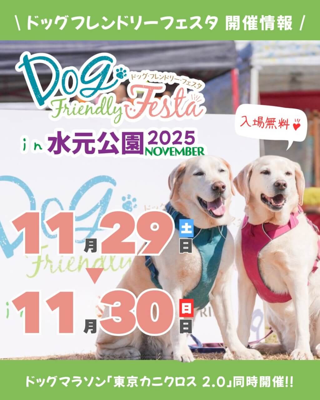 ドッグフレンドリーフェスタ in 水元公園 2025 NOVEMBER