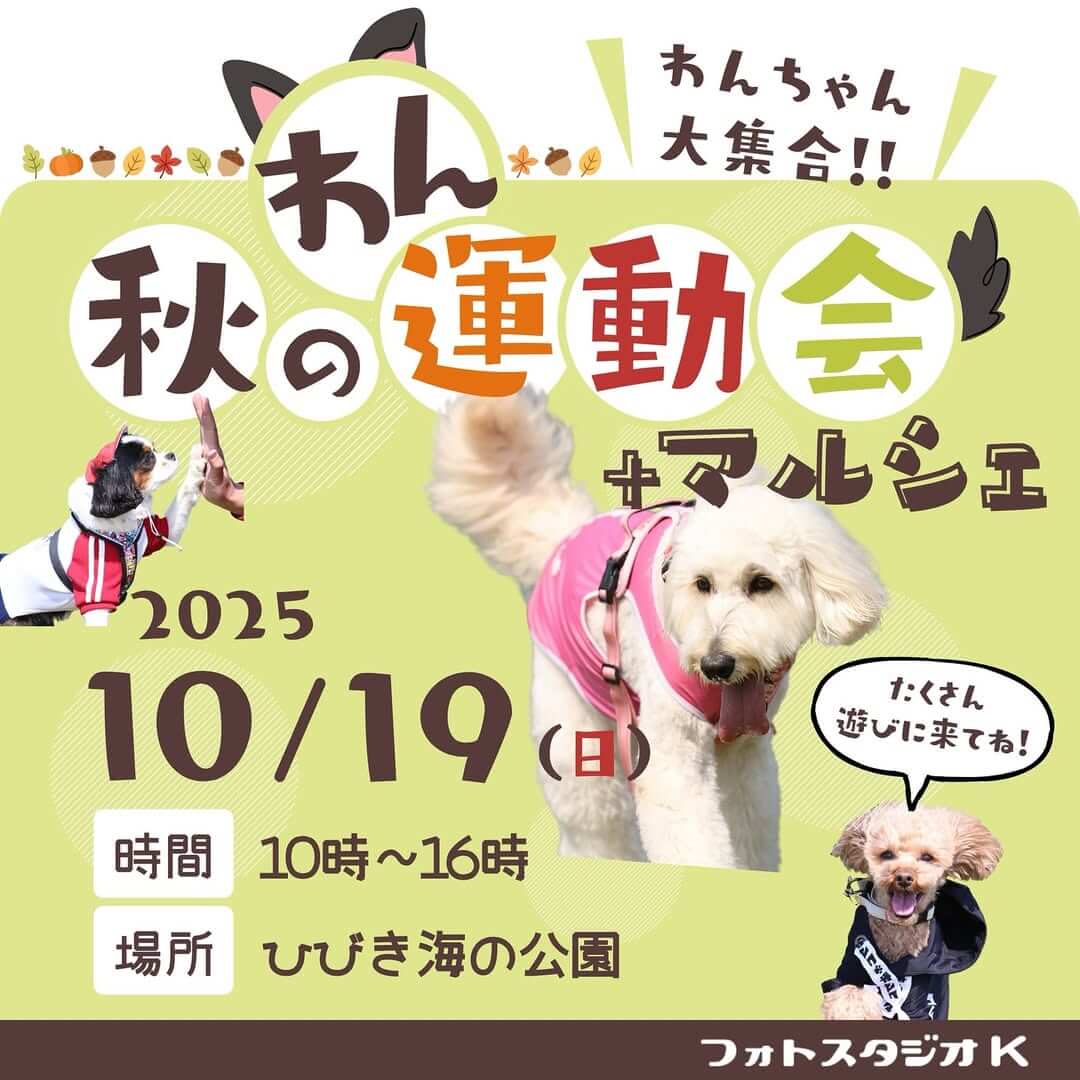 秋の運動会+マルシェ