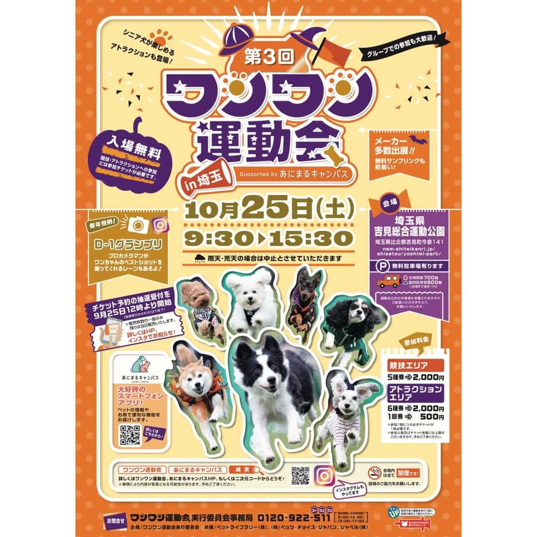 ワンワン運動会