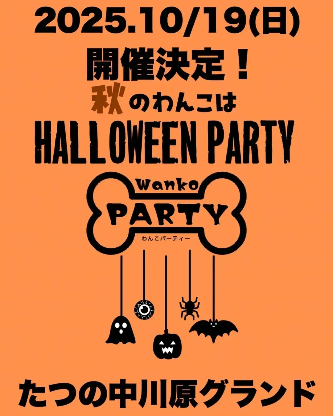わんこparty
