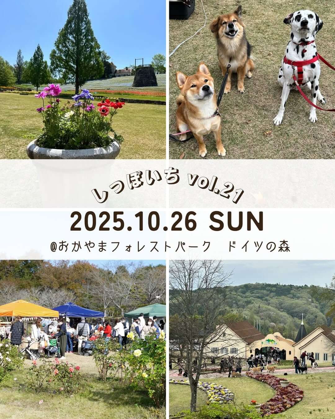 しっぽいちvol.21