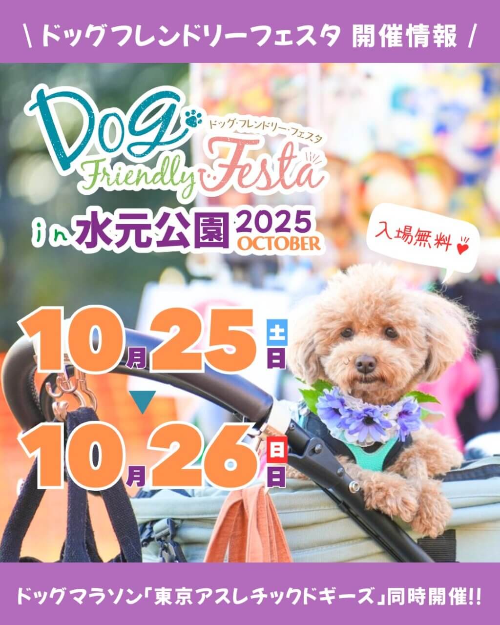 ドッグフレンドリーフェスタ in 水元公園 2025 OCTOBER