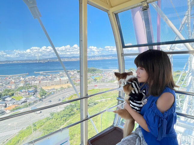 拡大するペットツーリズム市場にどう対応すべきか。