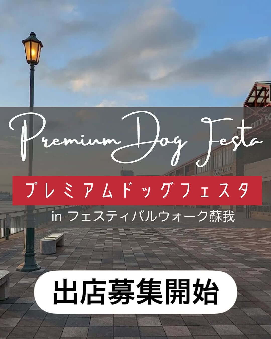 Premium Dog Festa