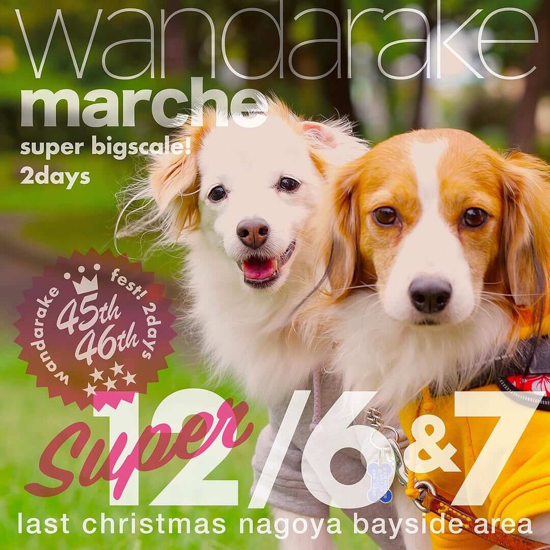 Super wandarakre 45 &46