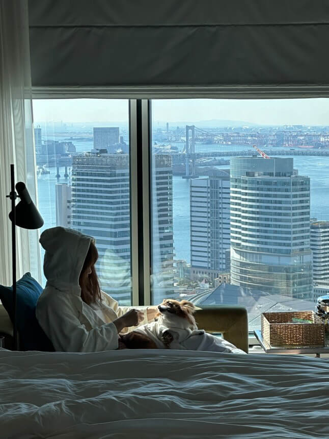 ホテルでくつろぐ女性と愛犬