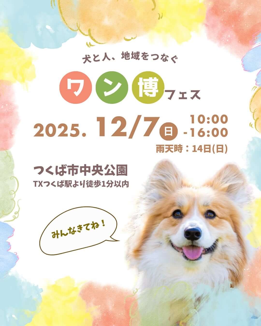 ワン博フェス