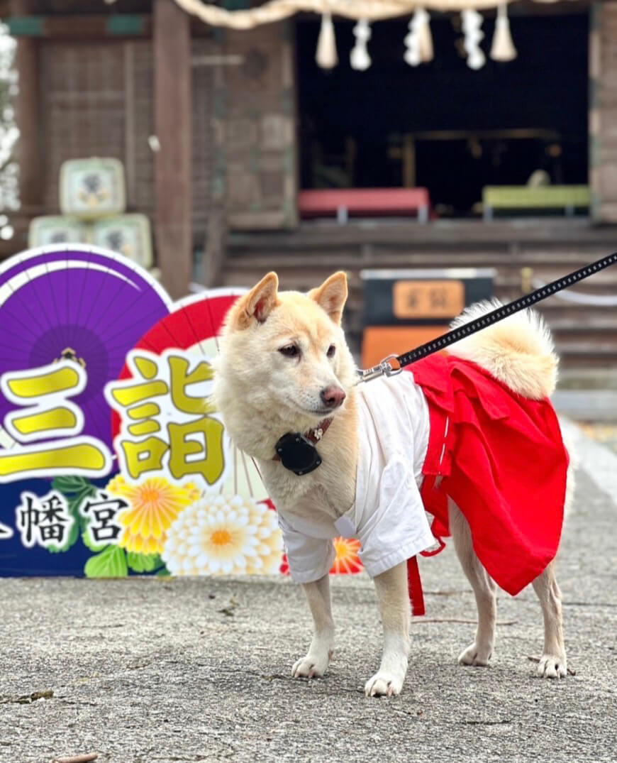 【福岡県】福島八幡宮