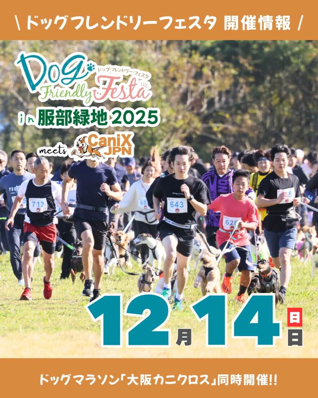 ドッグフレンドリーフェスタ in 服部緑地 2025 meets 大阪カニクロス