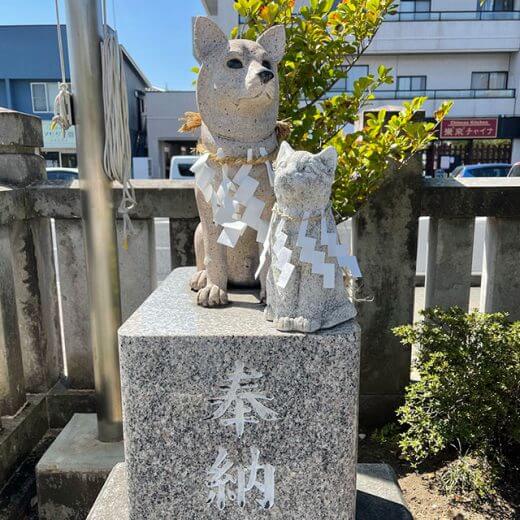 【栃木県】今泉八坂神社
