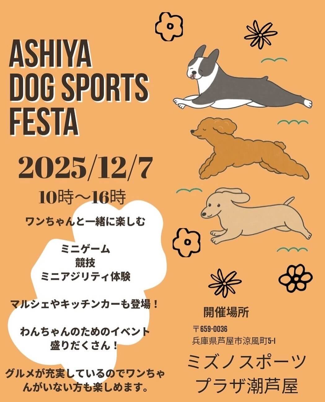 ASHIYA DOG SPORTS FESTA アシヤドッグスポーツフェスタ 2025