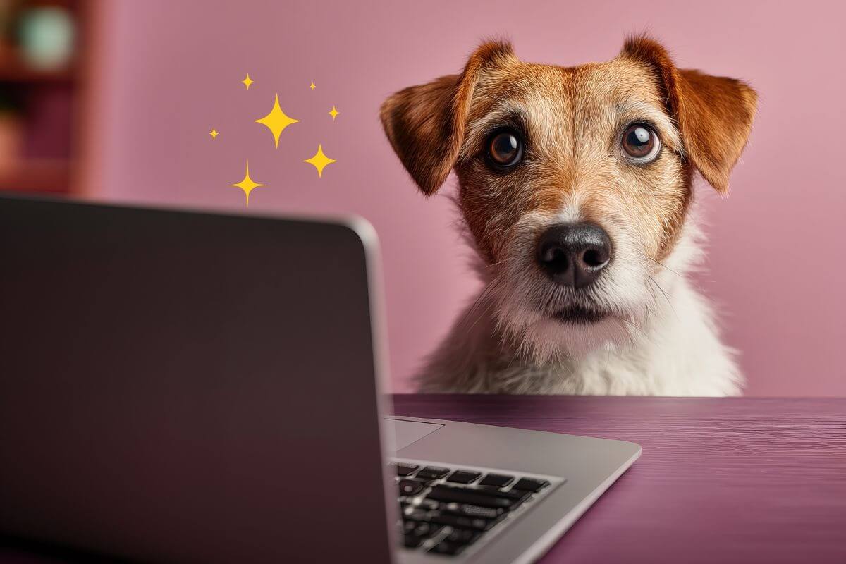 犬が事前準備をしている様子