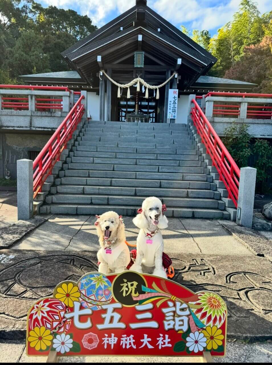 神社の境内で写真を撮る犬2匹