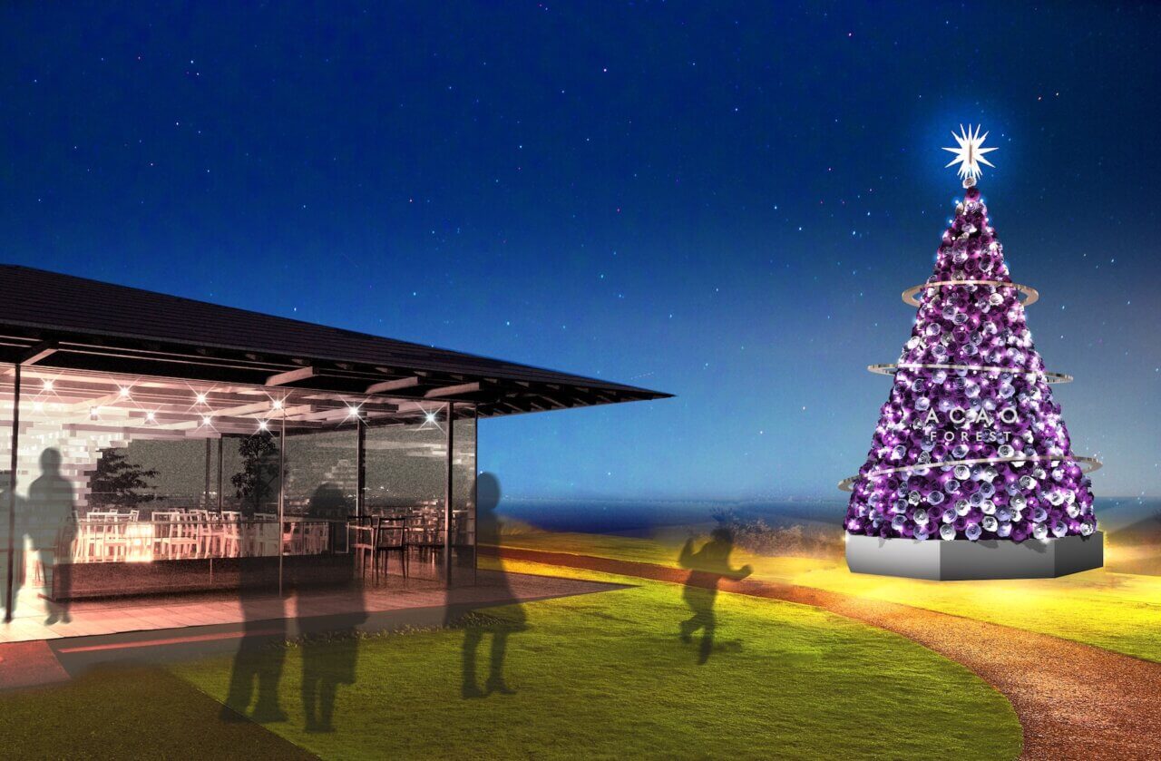 ACAO FOREST CHRISTMAS 2025 - Royal Winter Reflection -