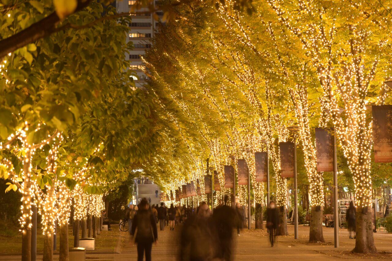 2025 たちかわイルミネーション