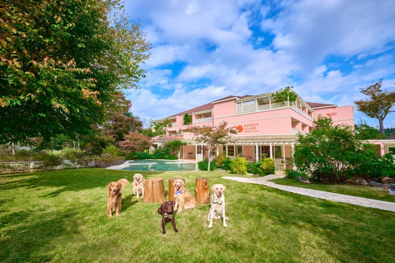 【千葉県】小谷流の里 ドギーズアイランド