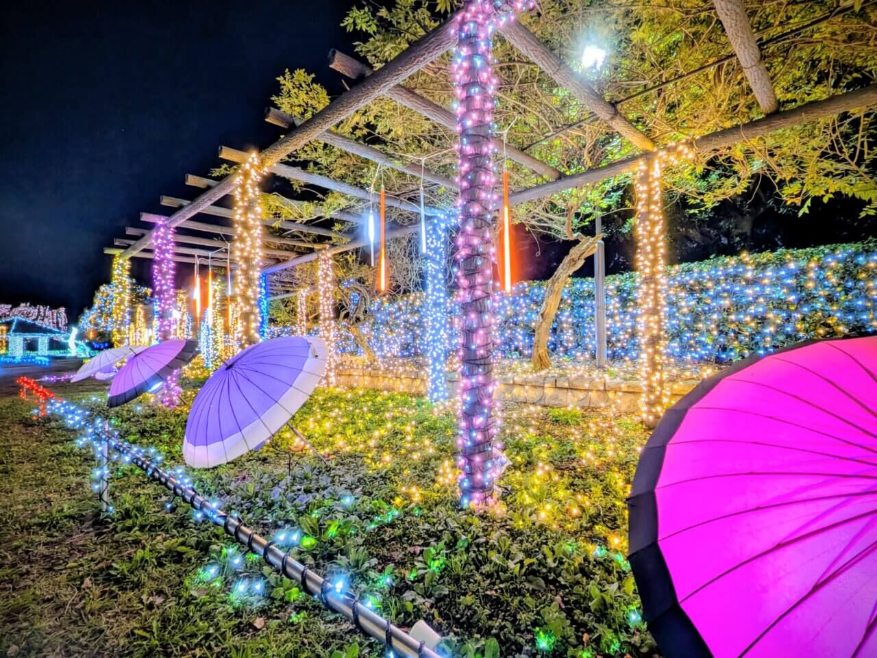 かわちイルミネーション2025