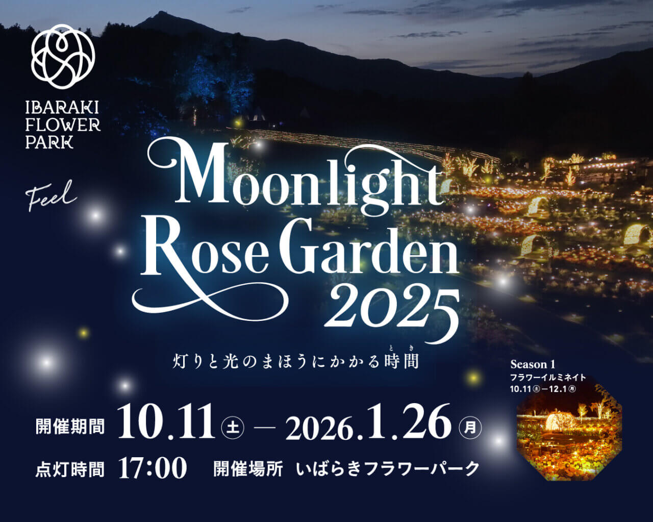 Moonlight Rose Garden2025