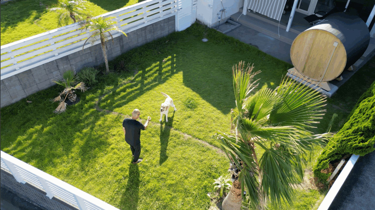 ドッグランの様子