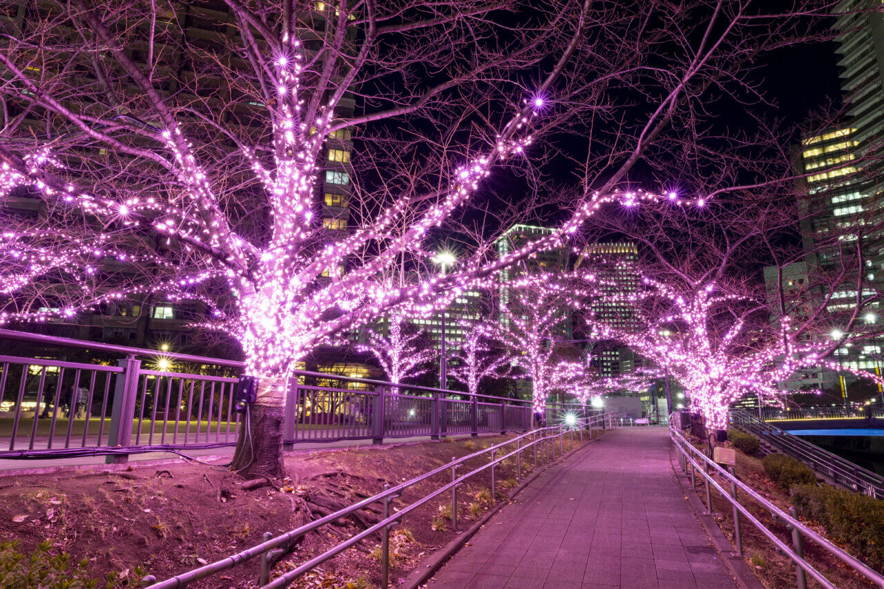 目黒川みんなのイルミネーション2025