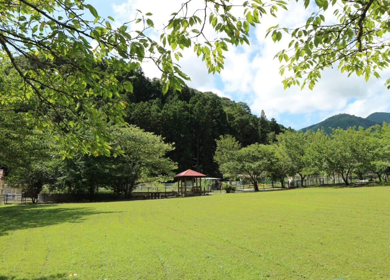 【神奈川県】寄七つ星ドッグラン＆カフェ