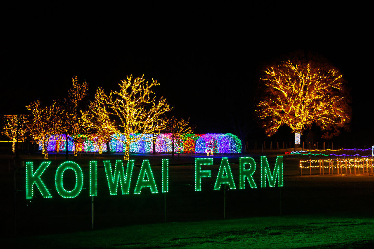 KOIWAI Winter Lights 銀河農場の夜