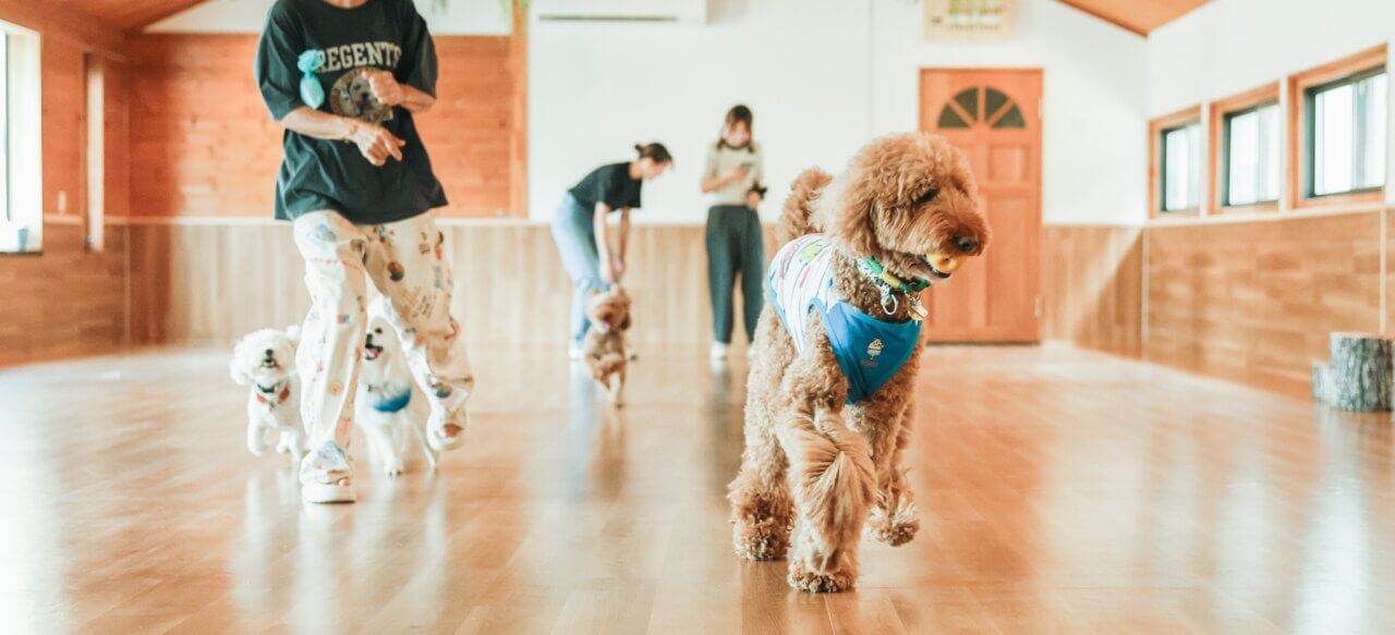 【神奈川県】ドッグアイランド瀬谷店