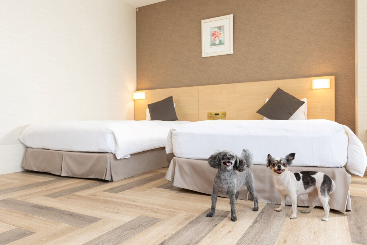 ペットルーム：ペット対応ツイン（ソファーベッド付）