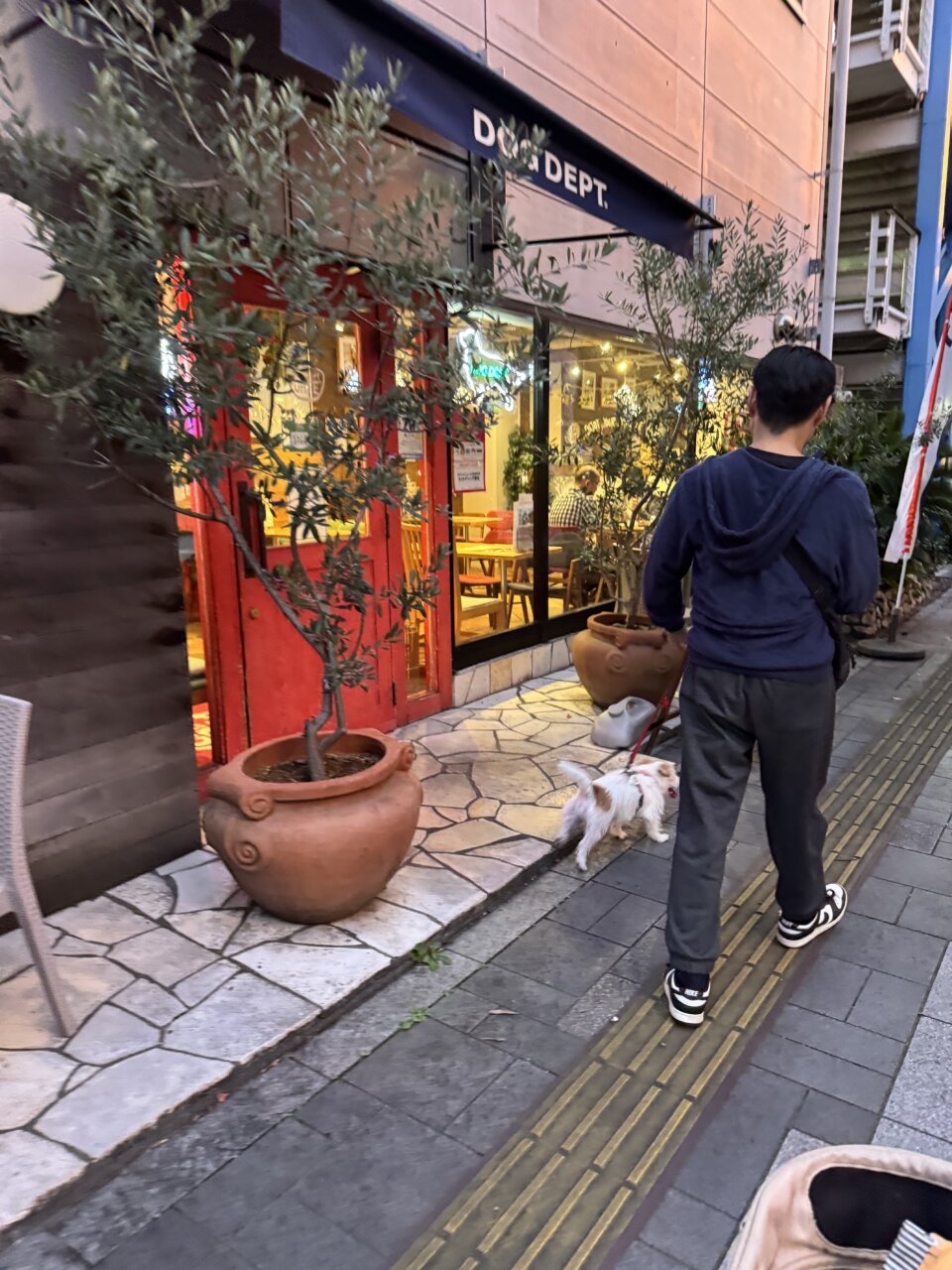 【東京・犬同伴OK】DOG DEPT|愛犬と「買う・食べる・遊ぶ」を一度に楽しめる、ドッグフレンドリーな複合スポット