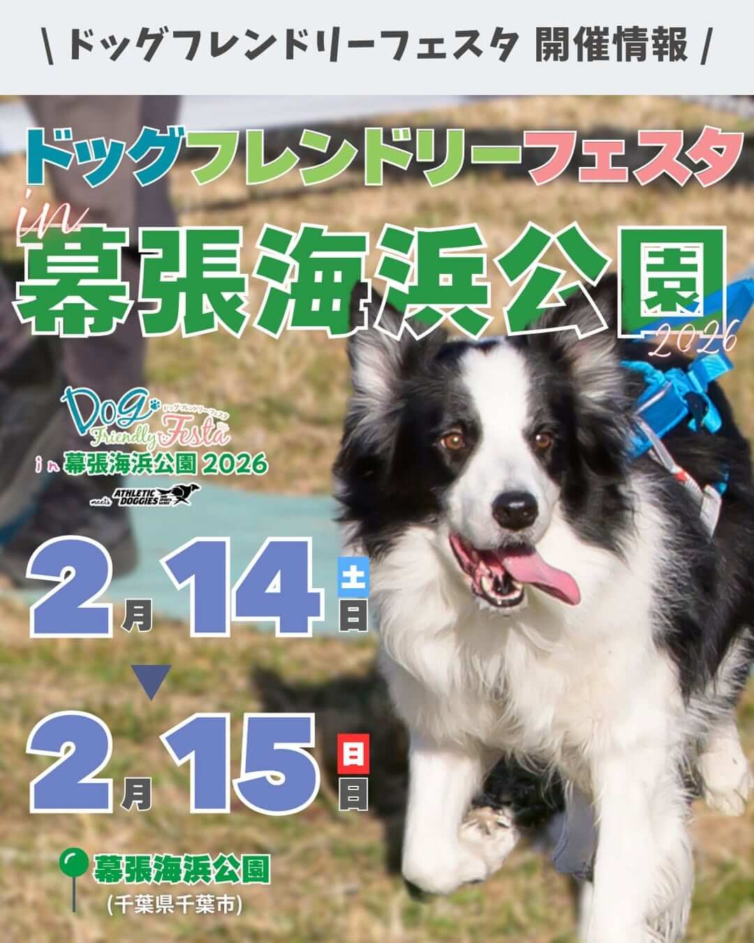 ドッグフレンドリーフェスタ in 幕張海浜公園
2026 meets アスレチックドギーズ