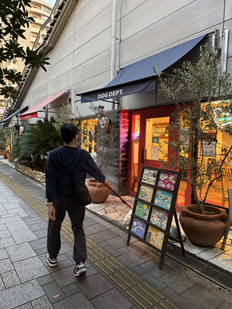 【東京・犬同伴OK】DOG DEPT|愛犬と「買う・食べる・遊ぶ」を一度に楽しめる、ドッグフレンドリーな複合スポット