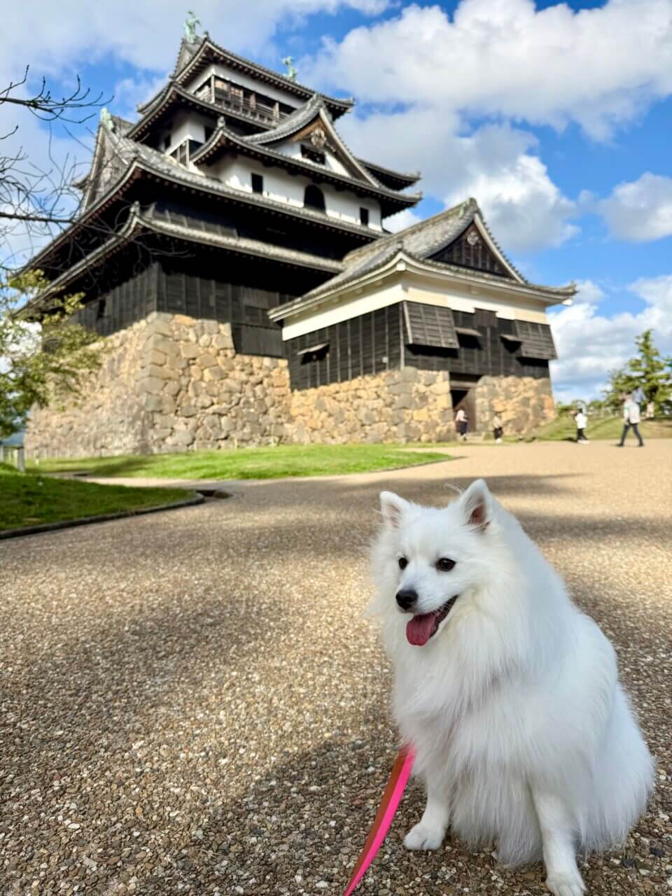 【島根・犬同伴OK】松江城|国宝の美しい天守と四季の景色を、愛犬と一緒に楽しめる歴史ある名城