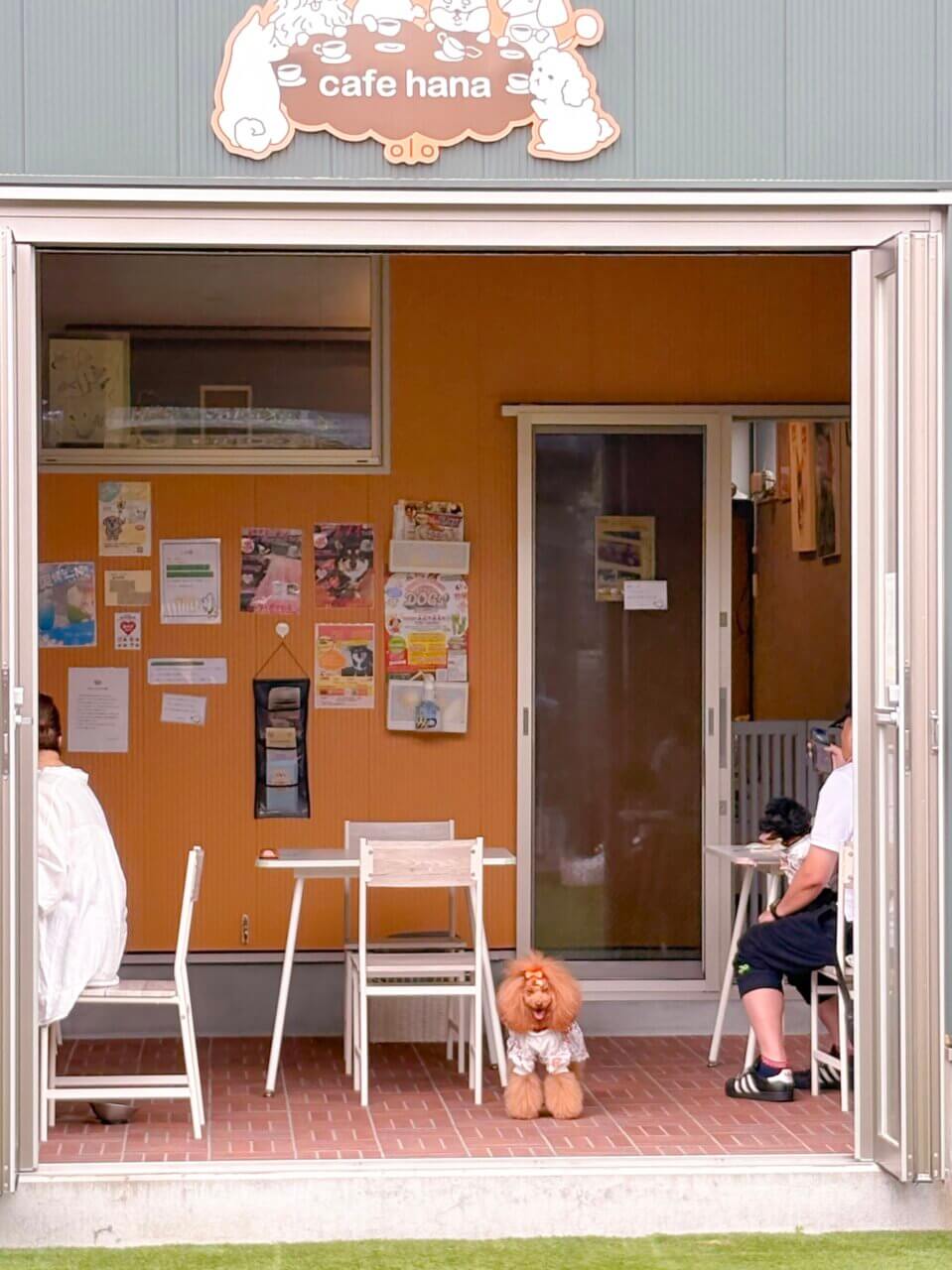 【京都・犬同伴OK】cafehana|ドッグラン併設で、愛犬と一緒に食事も遊びも楽しめる癒しのドッグカフェ