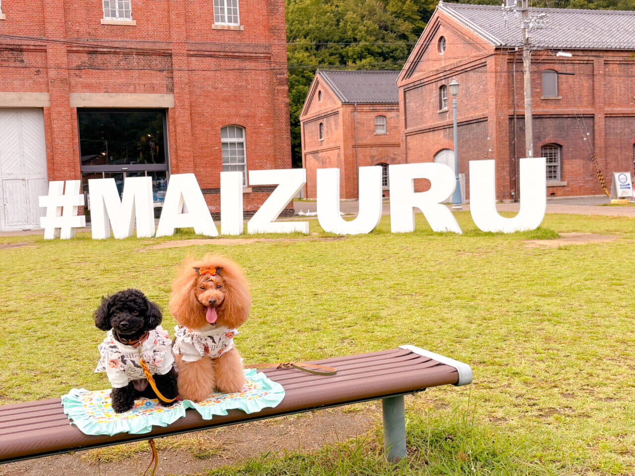 【京都・犬同伴OK】舞鶴赤レンガパーク|海と歴史ある赤レンガの景観を、愛犬と一緒に楽しめるフォトジェニックな人気スポット