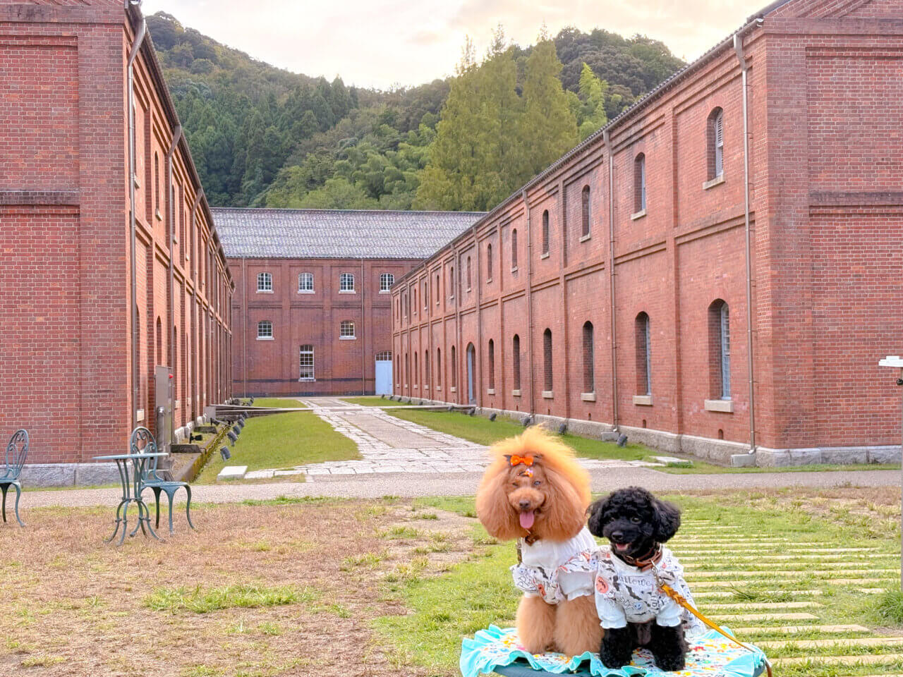 【京都・犬同伴OK】舞鶴赤レンガパーク|海と歴史ある赤レンガの景観を、愛犬と一緒に楽しめるフォトジェニックな人気スポット