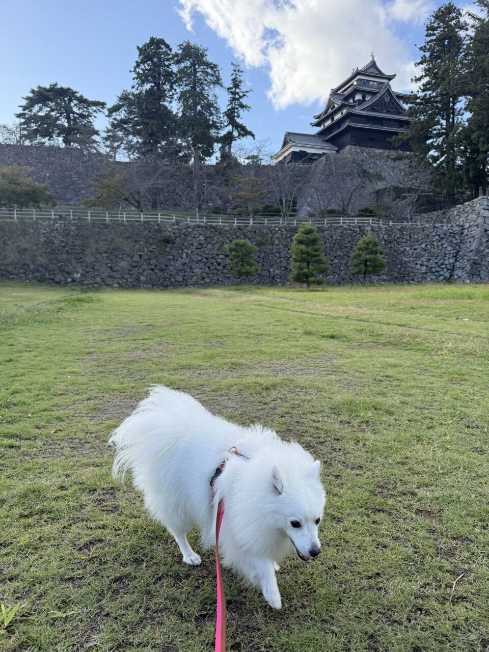 【島根・犬同伴OK】松江城|国宝の美しい天守と四季の景色を、愛犬と一緒に楽しめる歴史ある名城