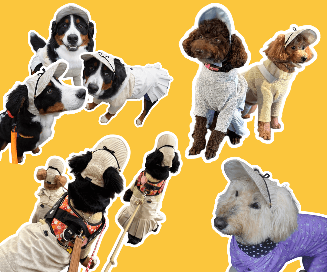 Wan!Pleats|プリーツキャップ2