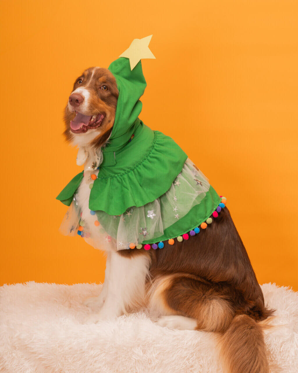 VERY(ベリー)|ツリーフード