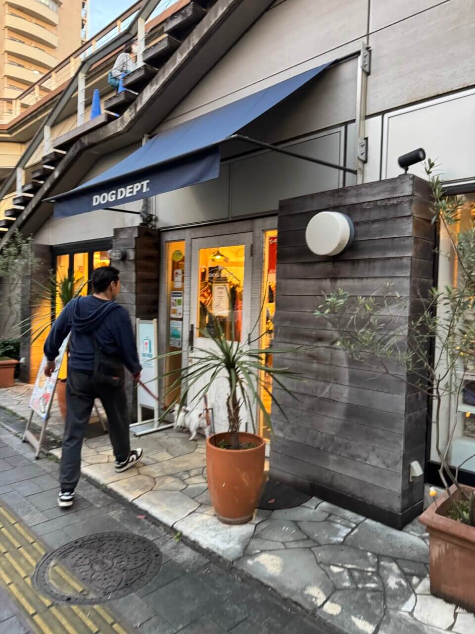 【東京・犬同伴OK】DOG DEPT|愛犬と「買う・食べる・遊ぶ」を一度に楽しめる、ドッグフレンドリーな複合スポット