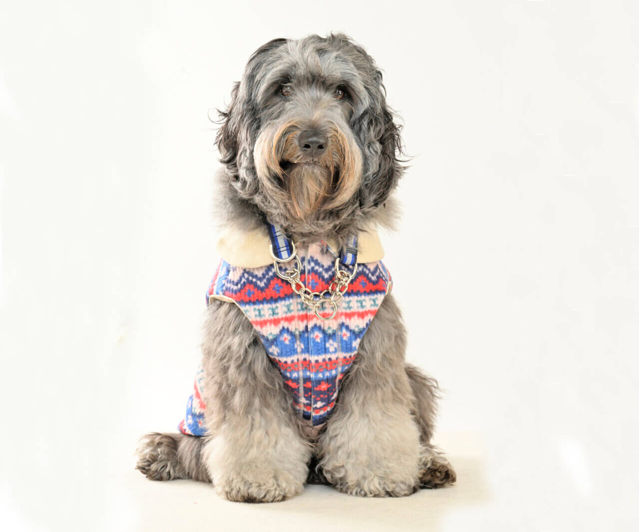 WHCY|Vauxクロシェライクフリースカーディ