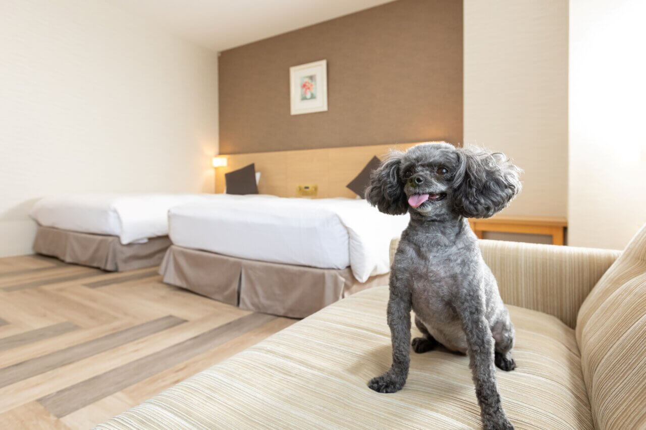 ペットルーム：ペット対応ツイン（ソファーベッド付）