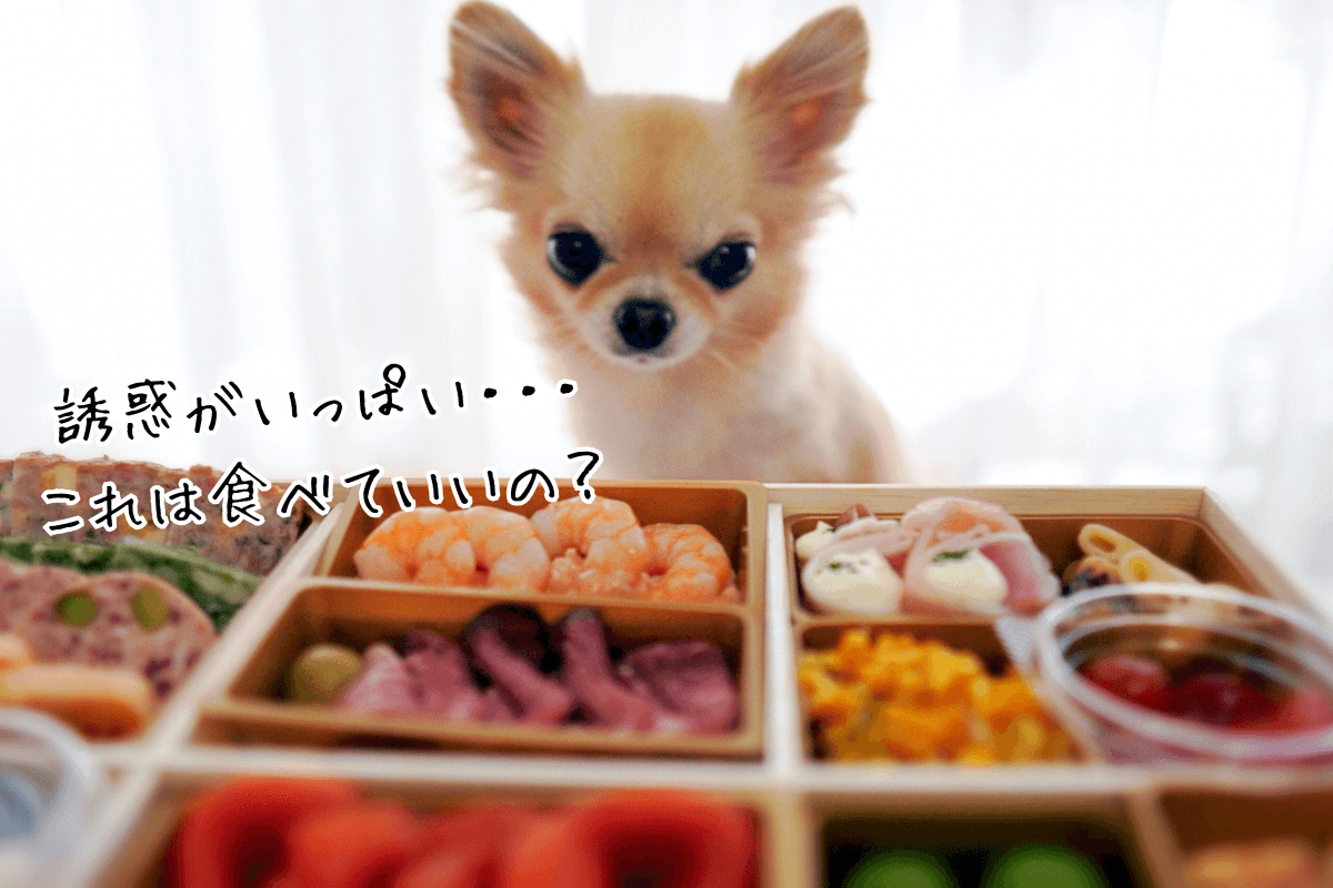 年末年始はお祝い事が多く、わんちゃんにとっても魅力的に感じるごちそうが並ぶ機会が増える時期です。
また、お子さんのいるご家庭では、クリスマスに贈られた普段見慣れないおもちゃのパーツや、飼い主さんの趣味で増えた器具・機材など、好奇心旺盛なわんちゃんにとって「おもちゃ」に見えてしまう物が室内に増えやすくなります。