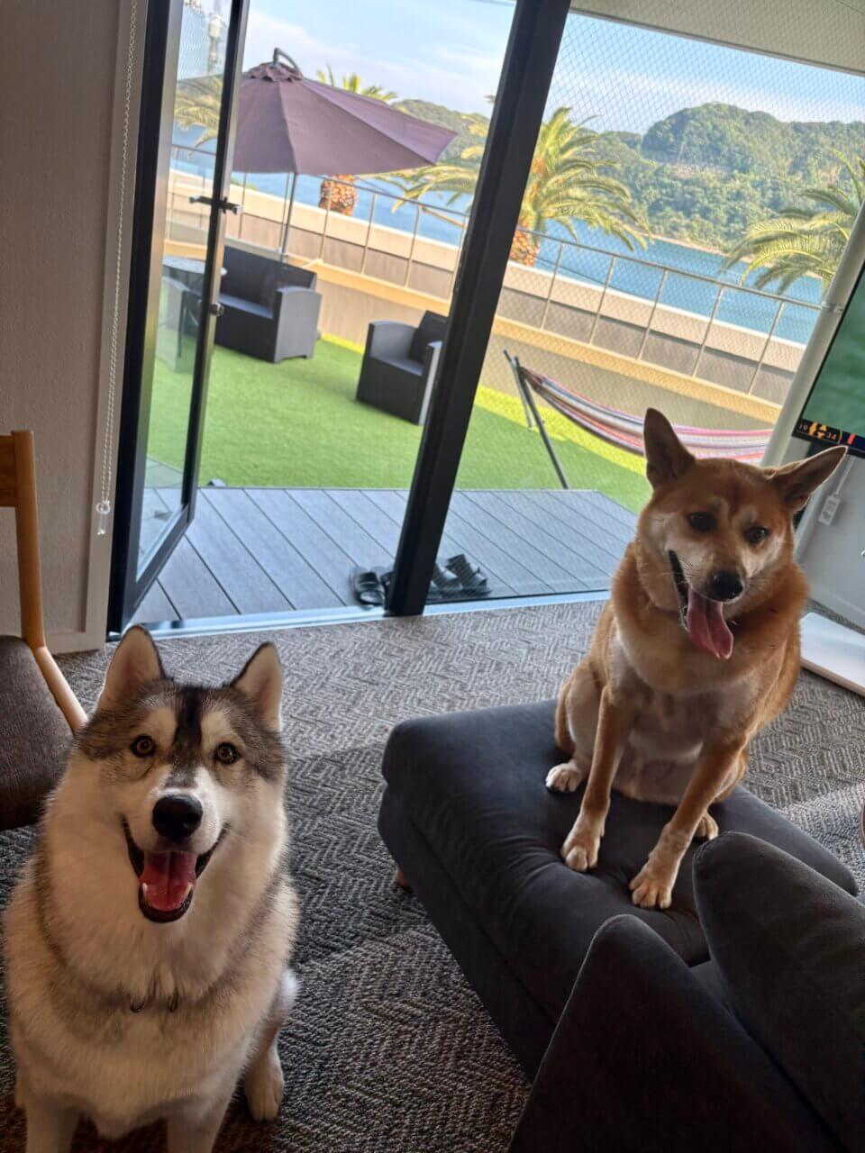 【香川県・犬同伴OK】アクアホテル小豆島リゾート|小豆島の静かな自然で、愛犬と泊まれるドッグフレンドリーな4つ星リゾート!