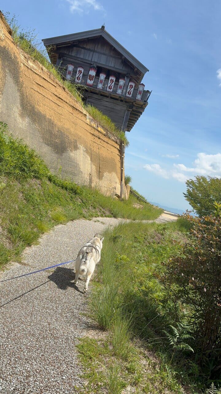 【岡山県・犬同伴OK】鬼城山(鬼ノ城)|歴史ロマンと絶景を、愛犬と一緒に楽しめる古代山城!