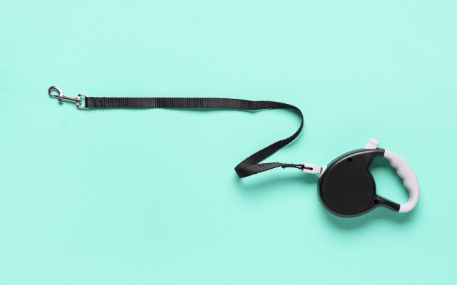 犬の伸縮リードの例