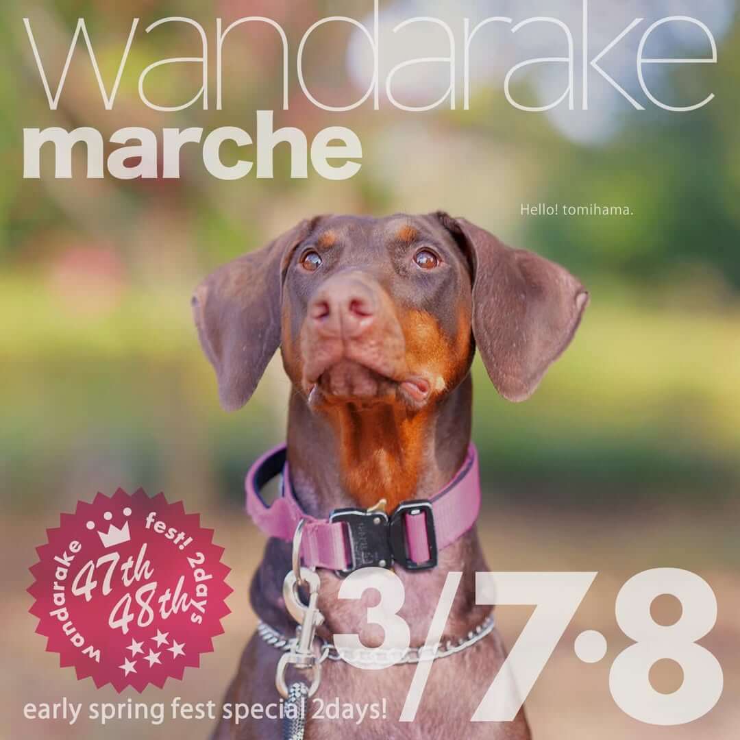 wandarake fest ! 47&48 わんだらけフェス